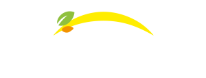 Bonduelle - Späť domov